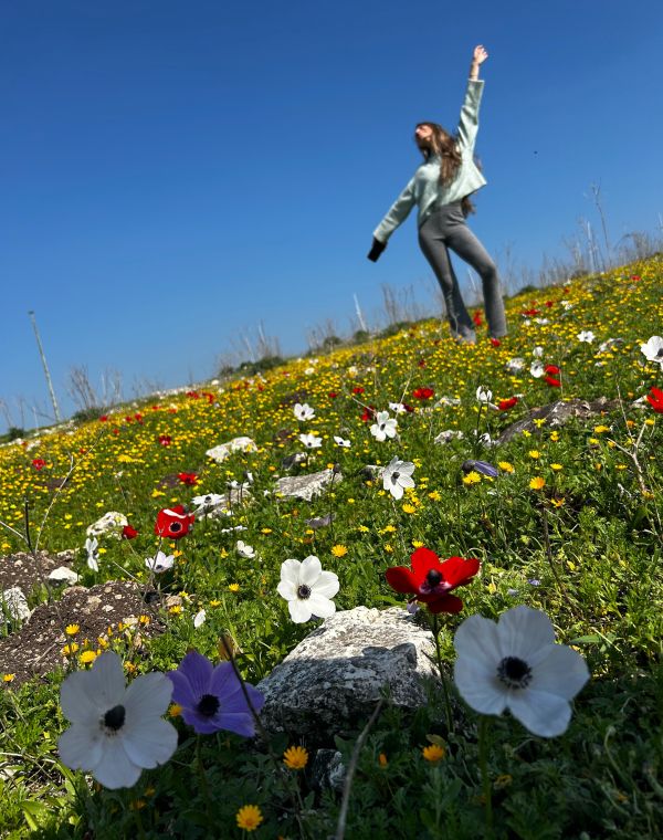 תמונה של עמק השלום: שביל הכלניות הצבעוניות של יקנעם - למטייל בישראל (טיולי)